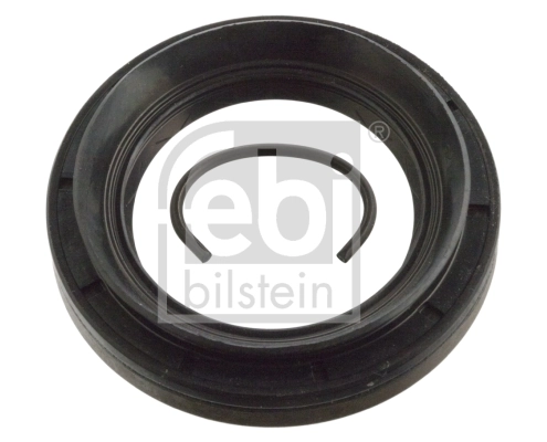 Shaft Seal, differential